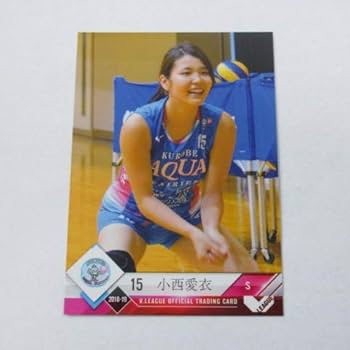 Vプレミアリーグ女子　直筆サイン入り　ポスター　抽選当選品　女子バレー Vプレミアリーグ女子 直筆サイン入り ポスター 抽選当選品 女子
